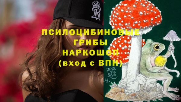 стаф Богородицк