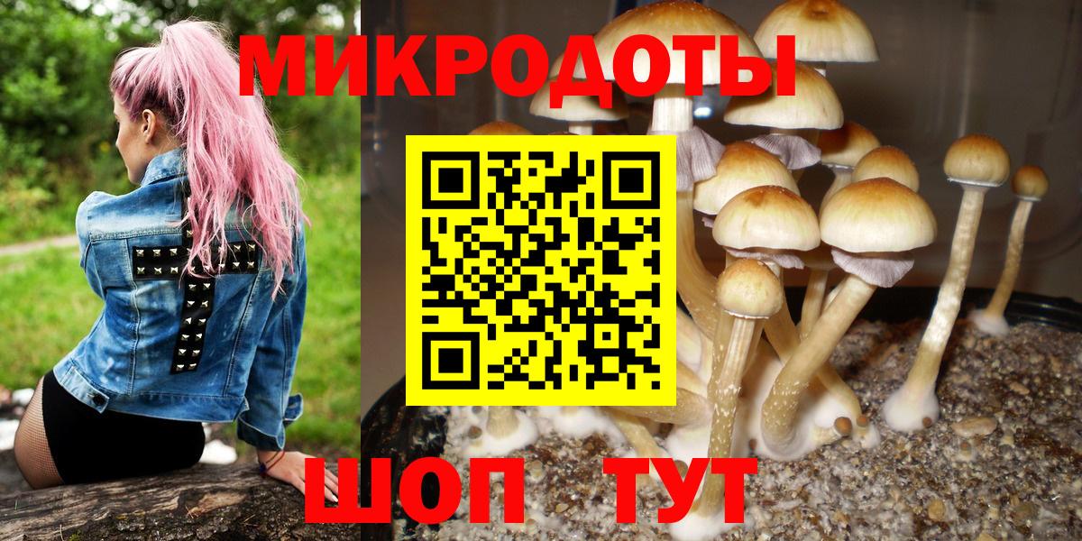 Галлюциногенные грибы прущие грибы Гудермес