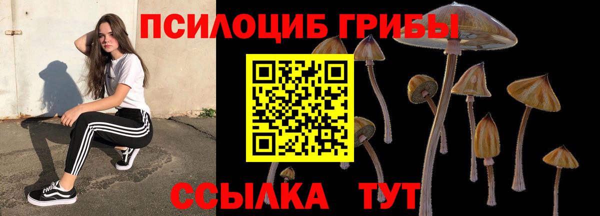 Гудермес  Галлюциногенные грибы Magic Shrooms  Псилоцибиновые грибы Magic Shrooms  Вход с VPN 